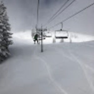 Meet your Posher, Wendy